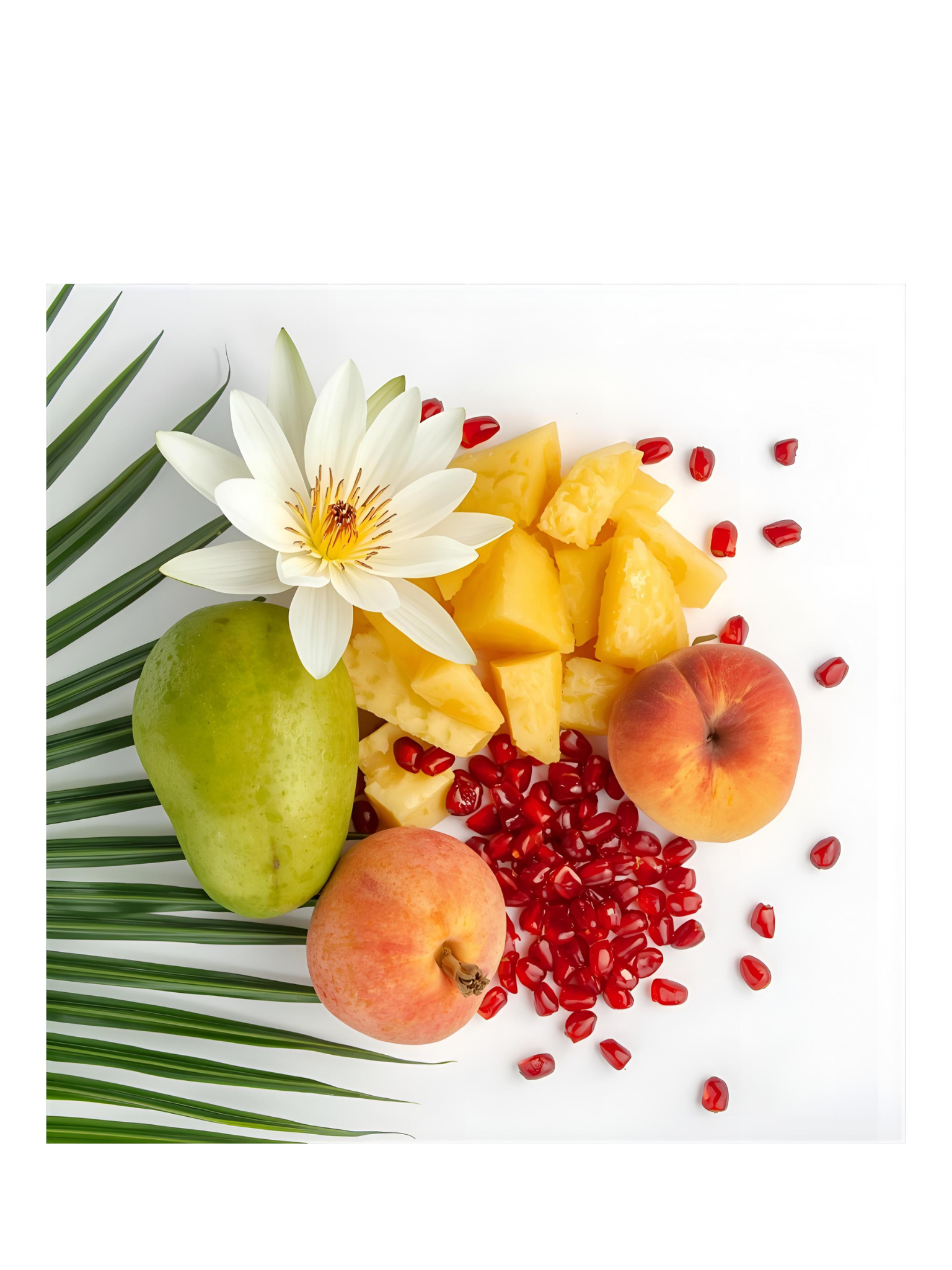 No 53 Tropical Times